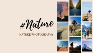 Read more about the article Best Nature hashtags for Instagram and Nature Photography hashtags