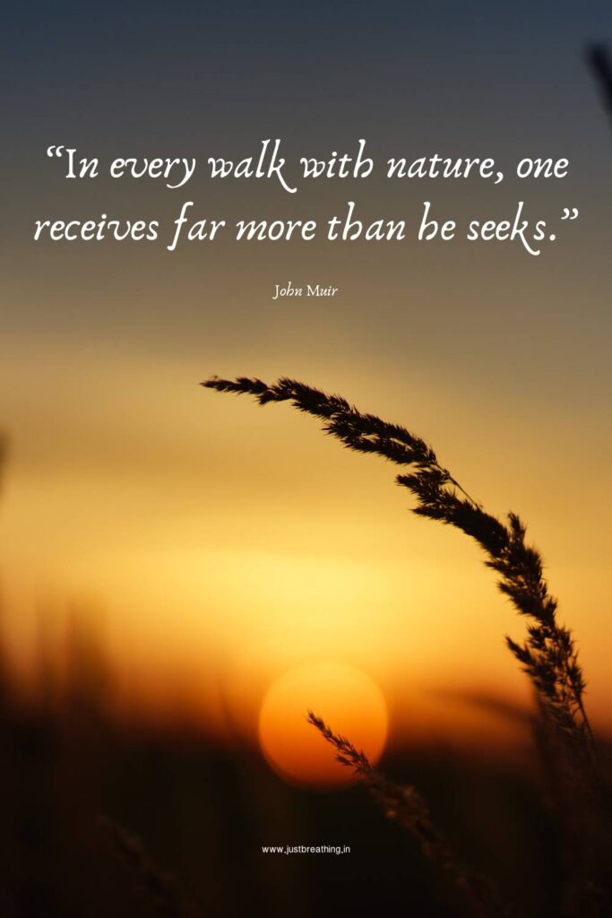 Inspiring Beautiful Nature Quotes for Instagram