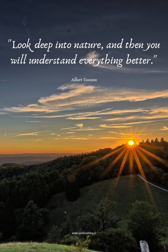 Perfect Nature Quotes for Nature Photography for Instagram Post
