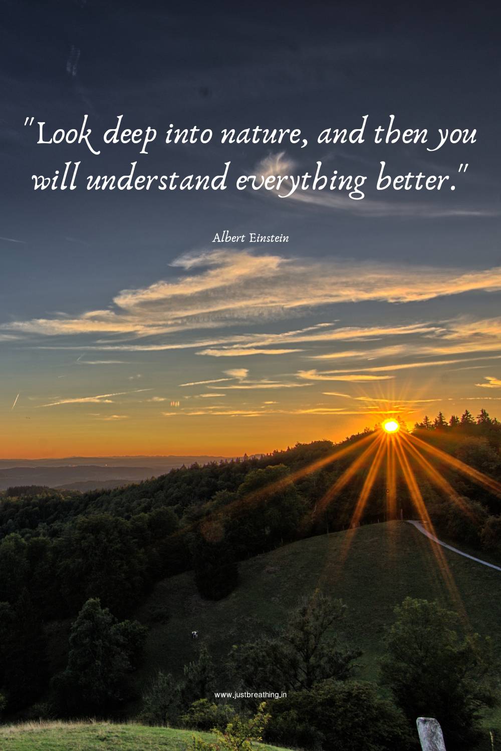 Short Nature Captions for Instagram - Law of Nature is Healing Quotes