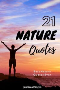 Short Nature Captions for Instagram Pic - Law of Nature is Healing Quotes