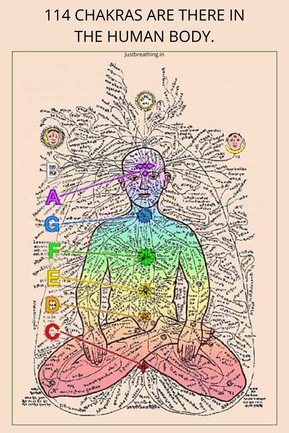 114 Chakras Diagram