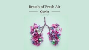 Read more about the article 11 Inspiring Breath of Fresh Air Quotes to Brighten Your Day