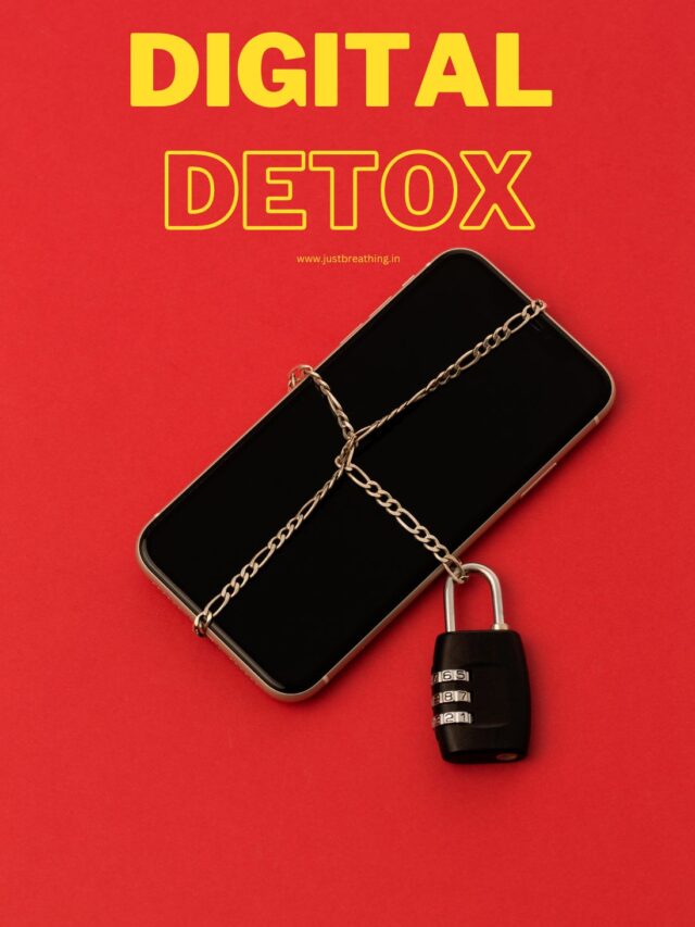 Read more about the article 24-Hour Digital Detox: Escape the Screen, Find Inner Peace