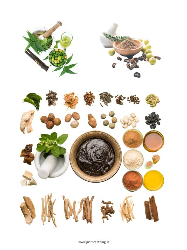 Read more about the article Ayurvedic Home Remedies for Blood Purification